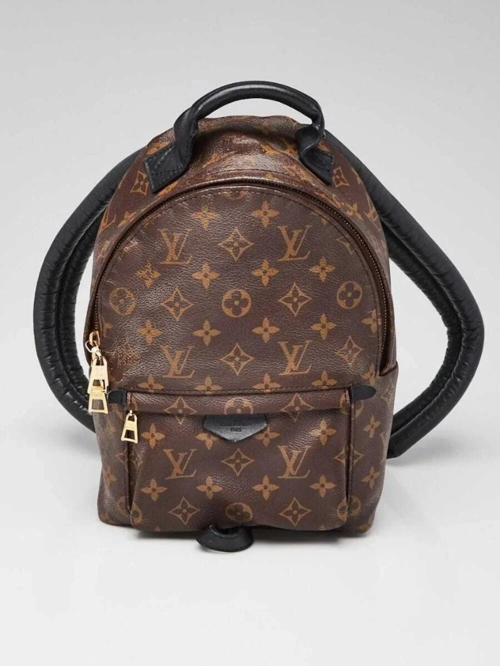 Louis Vuitton Monogram Canvas Palm Springs PM Backpack Bag